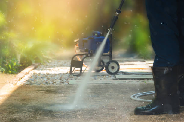 Best Driveway Pressure Washing  in University, MS